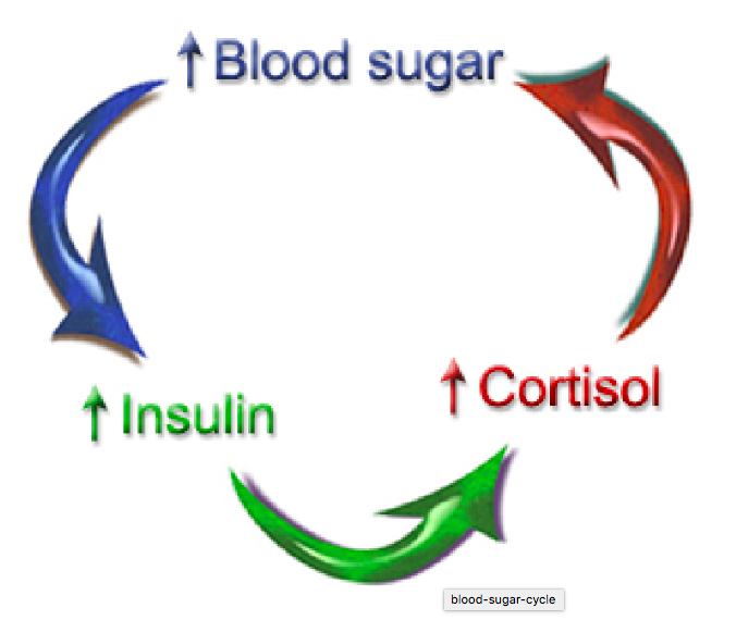 Cortisol blood sugar insulin