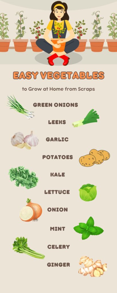 Easy Vegetables to Grow in Your Home Garden Infographic