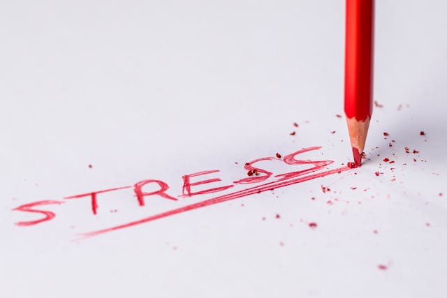 Word Stress being written by a red pen